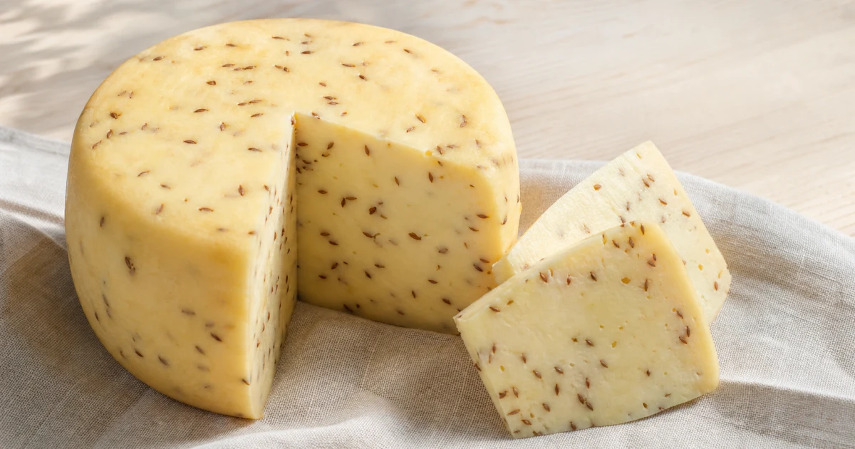 Round Latvian Jāņu siers caraway cheese cut into wedges